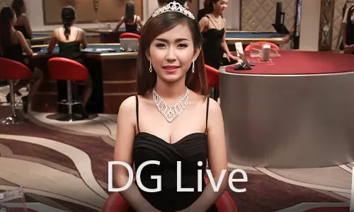 Live Casino Experience