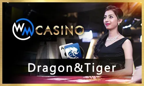 Casino Games at 777plus